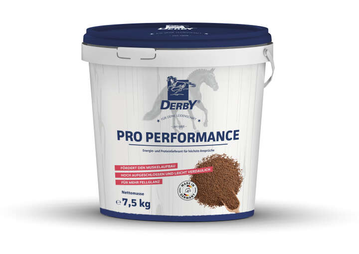 DERBY Pro Performance
